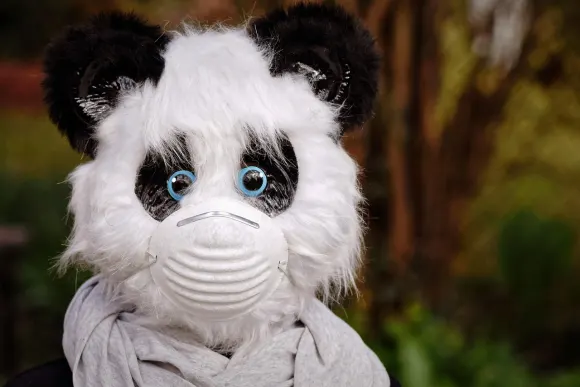 בטאוריג'ינל קזינו תמיכה